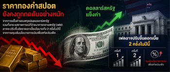 แนวโน้มราคาทองคำถูกกดดันหนักจากดอลลาร์แข็งค่ารวมทั้งคาดว่าเฟดจะขึ้นดอกเบี้ย 2 ครั้งในปีนี้